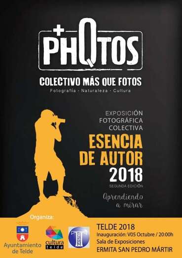 Cartel de la exposición